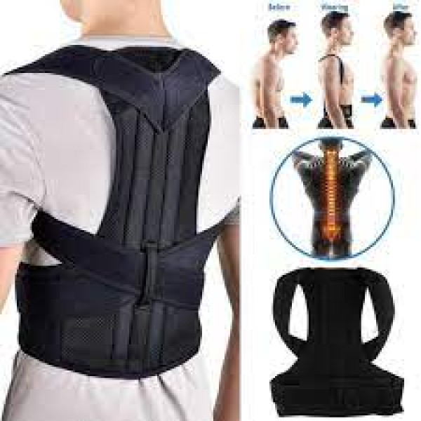 Back Support Belt